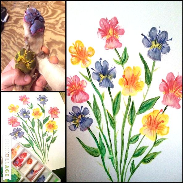 some pictures of flowers and birds painted on the wall with watercolors in them