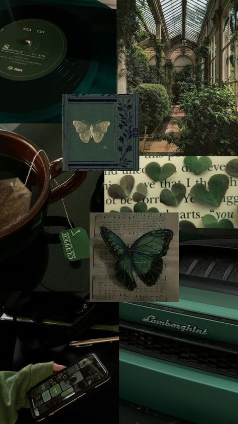 a collage of photos with green images and butterflies on them, including an old record player