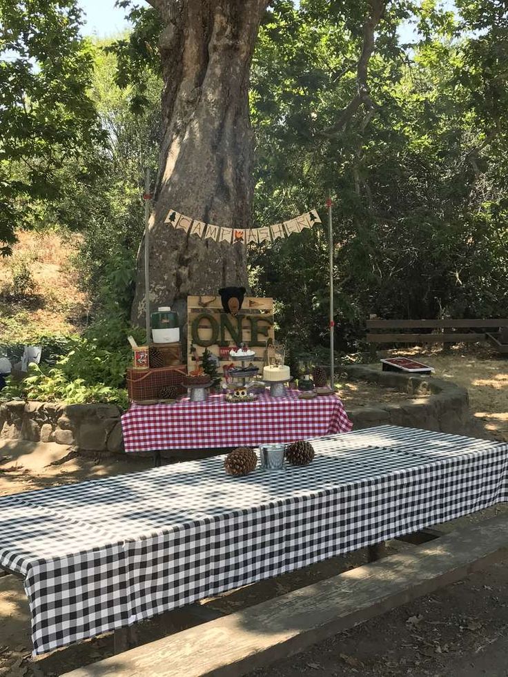 a picnic table set up under a large tree for an outdoor party with gingham cloth and pine cones