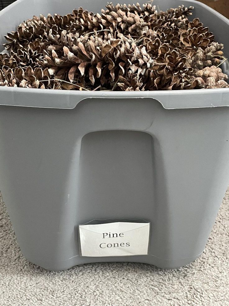 a grey container filled with pine cones sitting on top of a carpeted floor next to a wall