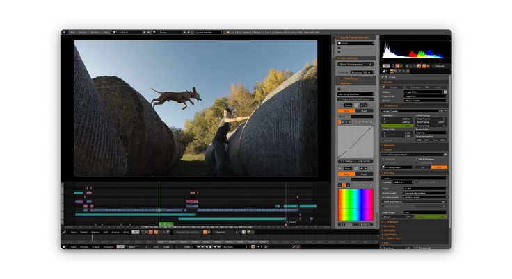 an image of a dog jumping over rocks on a computer screen with color bars in the foreground