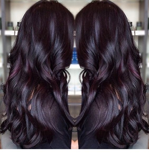 Pelo Color Borgoña, Dark Purple Hair, Plum Hair, Violet Hair, Purple Highlights, Dark Violet, Violet Color, Burgundy Hair, Penteado Cabelo Curto