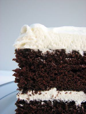 a slice of chocolate cake with white frosting