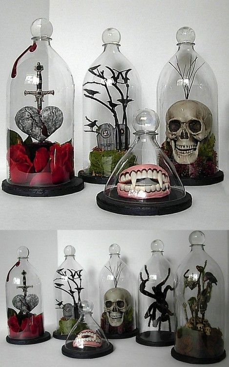 there are many glass domes with skulls in them