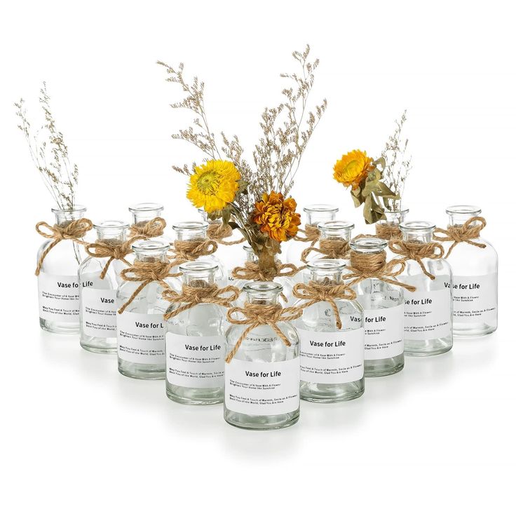 a bunch of glass jars with flowers in them on a white background, tied together