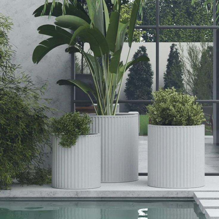 three white planters sitting next to a swimming pool