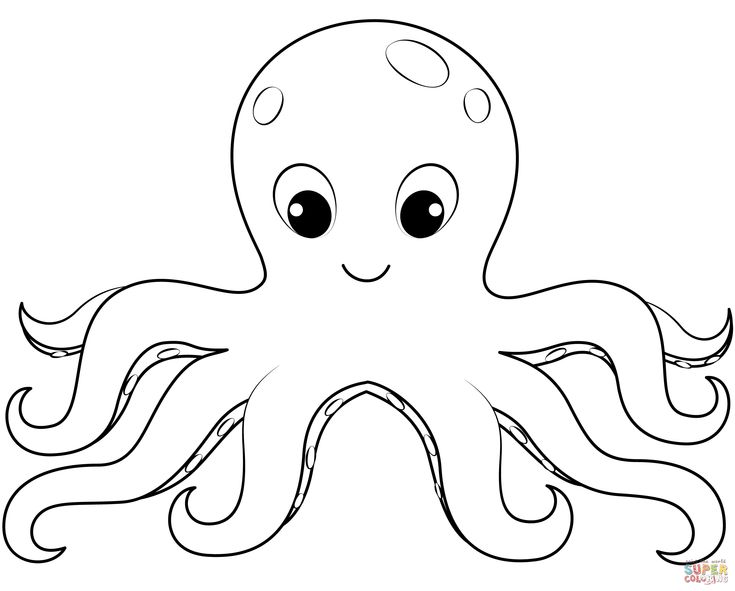 an octopus with big eyes coloring page