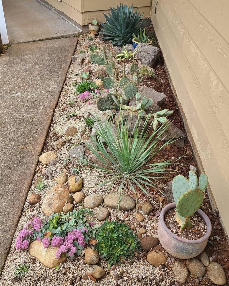 an assortment of plants and rocks in front of a house on the side of the road