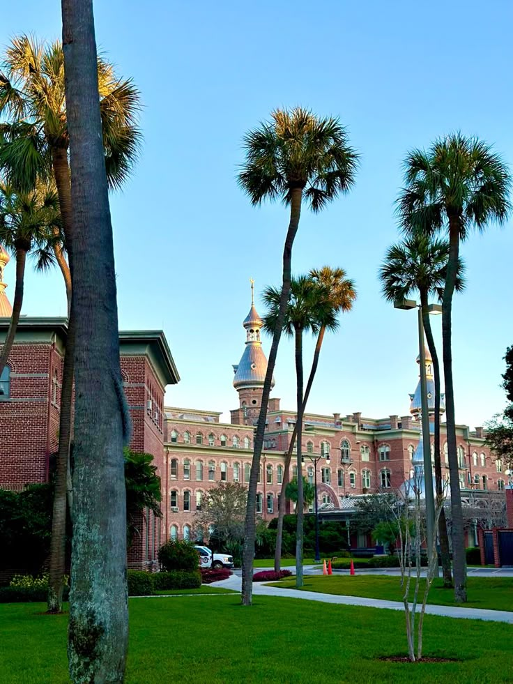 palm trees in front of a large building