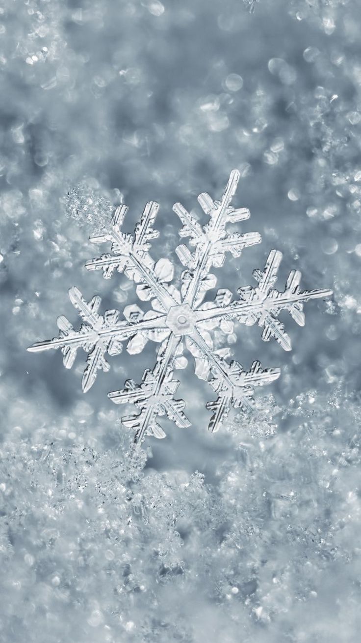 a snowflake is seen in this black and white photo with blue tints