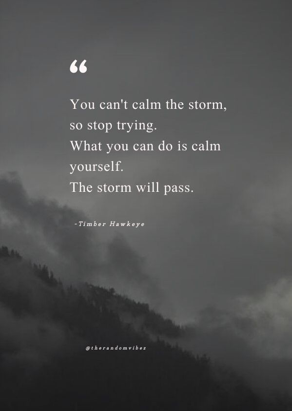 a black and white photo with the quote you can't calm the storm, so stop trying what you can do is calm yourself