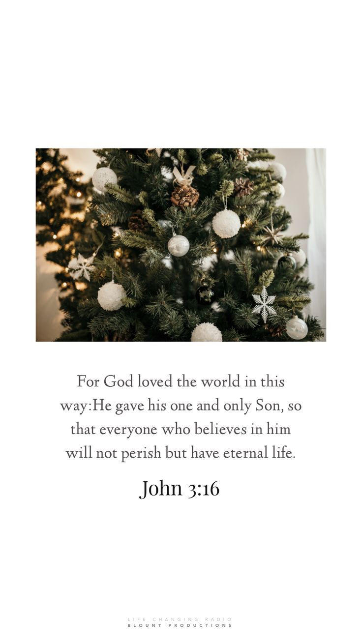 a christmas tree with the words john 3 16