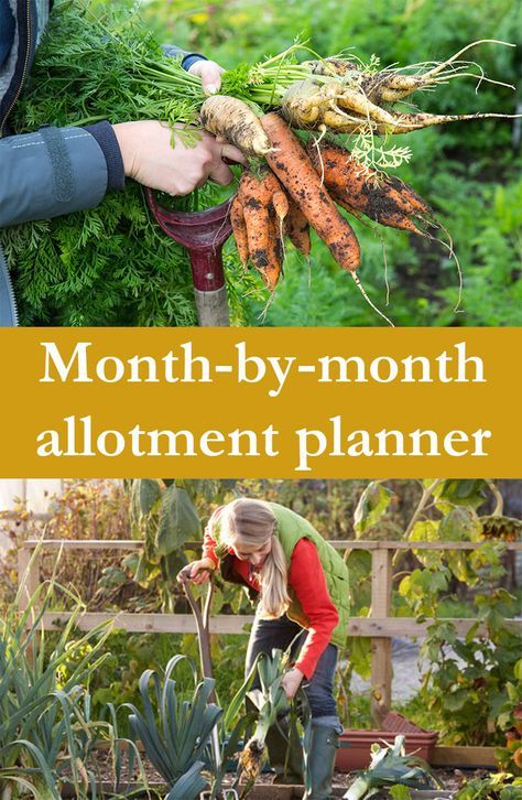 a woman is holding carrots in her hands and the words, month - by - month allotment planner