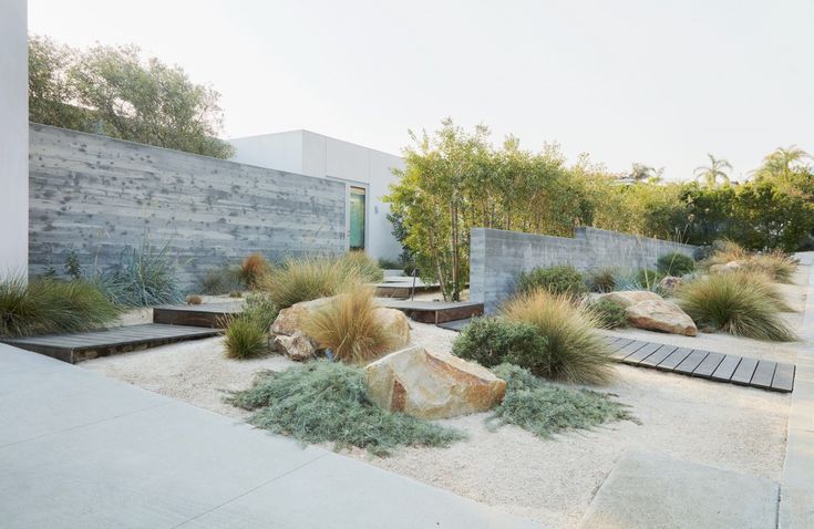 an outdoor area with rocks and plants in the foreground, surrounded by concrete walls