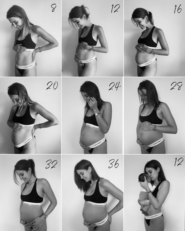 Monthly Pregnant Photos, Maternity Timeline Photos, Belly Update Pictures, Pregnancy Photos Monthly, Baby Bump Month By Month, Pregnancy Photos By Month, Maternity Photography Monthly, Bump Progression Photos Polaroid, Belly Progression Pictures