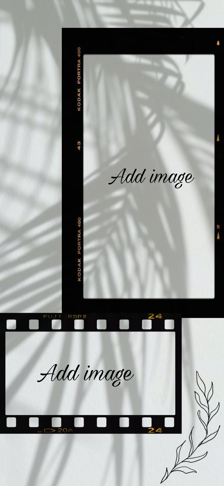 two film frames with the words add image and an olive branch in front of them