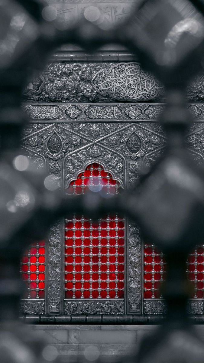 the reflection of an ornate building through a metal gate with a red door on it