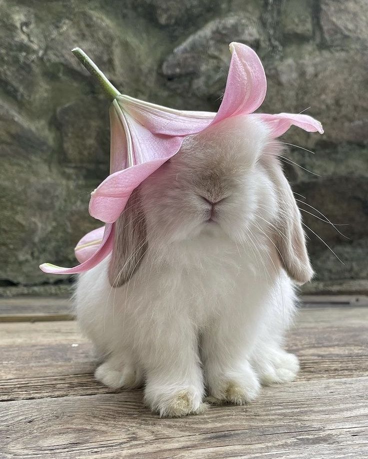 a rabbit with a pink flower on its head