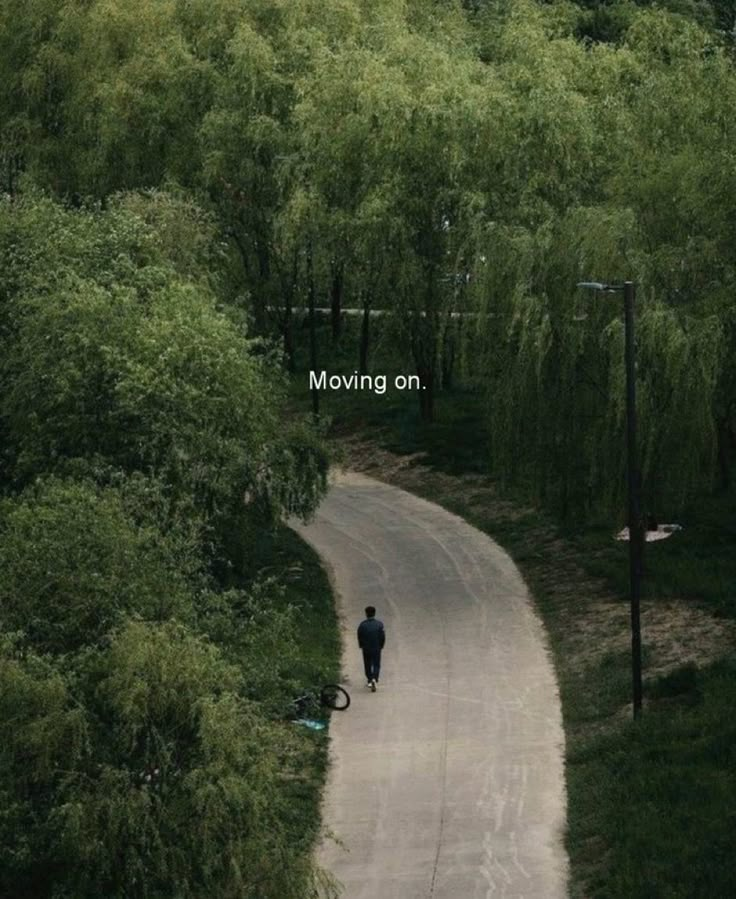 a person walking down a dirt road in the middle of a forest with trees on both sides