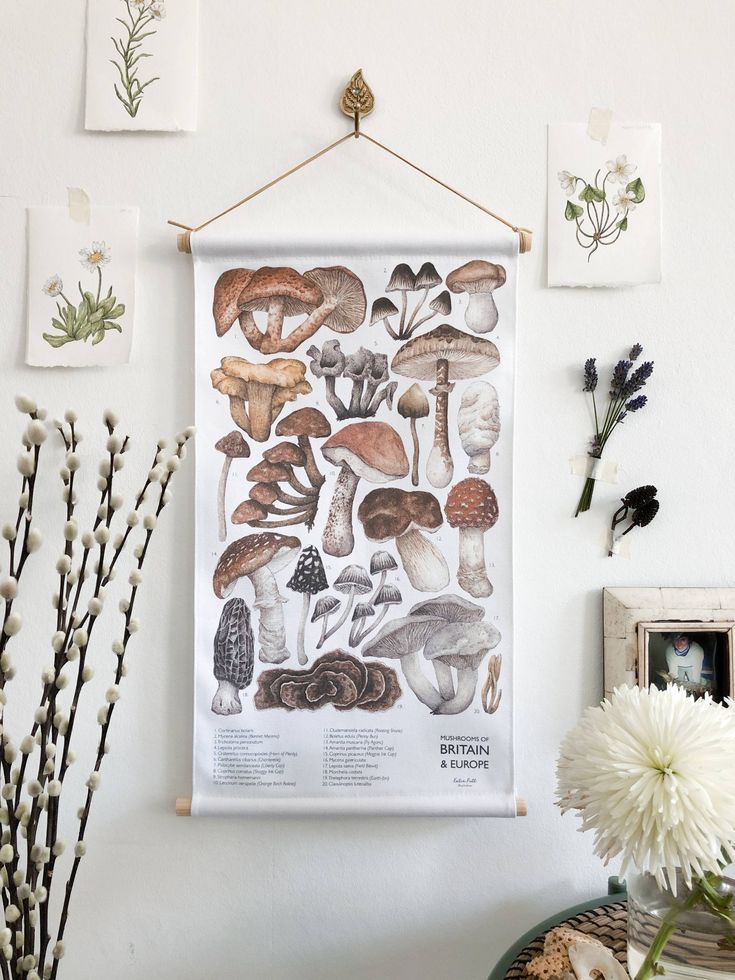 a wall hanging on the side of a white wall filled with different types of mushrooms