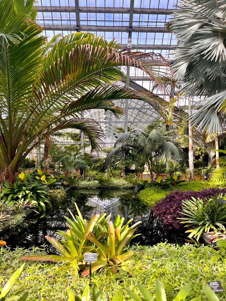 the inside of a tropical garden with palm trees and other plants in it's center