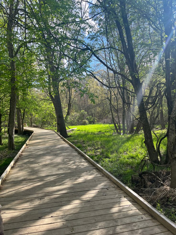 a wooden walkway in the middle of a park with trees and grass on both sides