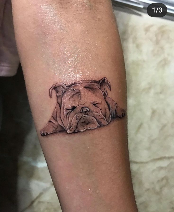 a dog is shown on the arm and it's head has been drawn in black ink