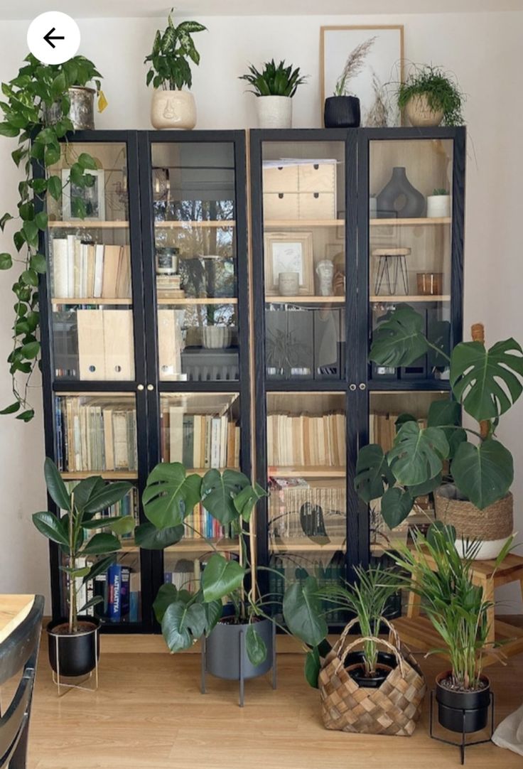 a room filled with lots of plants next to a wall mounted book shelf on top of a hard wood floor