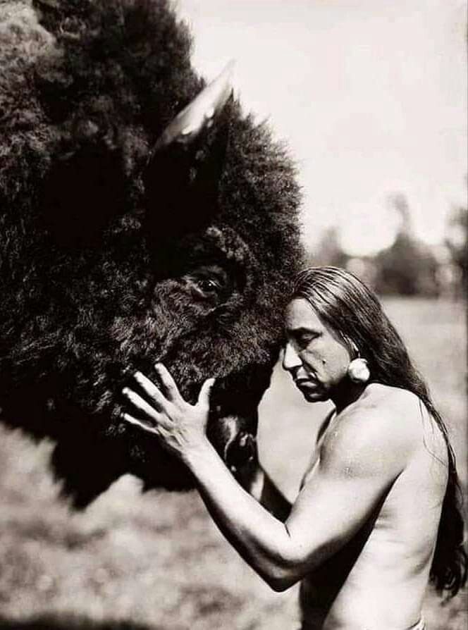 a man is touching an animal's face with his right hand in black and white