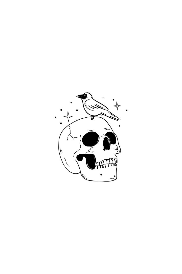 a skull with a bird sitting on top of it