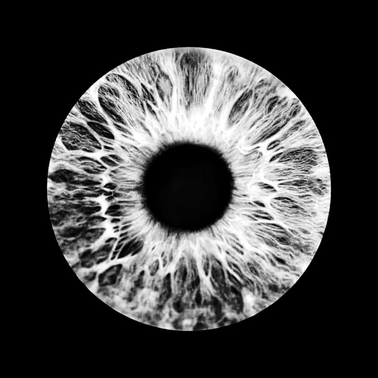 an eyeball is shown in black and white