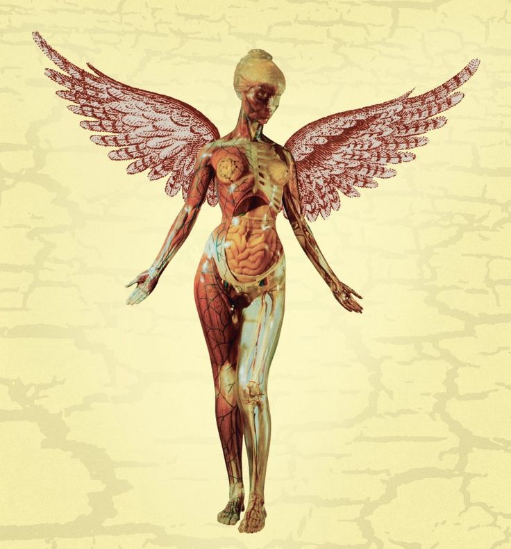 an image of a human body with wings on it's back and torsos