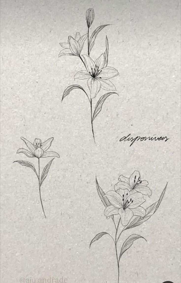 three different types of flowers on a piece of paper with the word happiness written in black ink