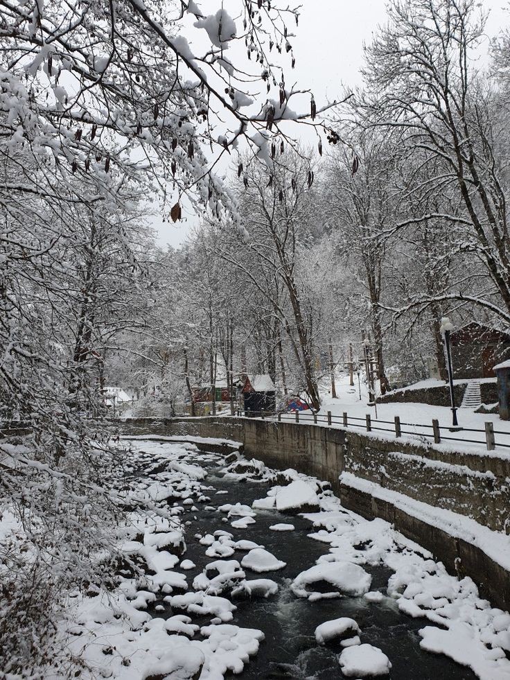 a river running through a park covered in snow