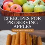 the cover of twelve recipes for preserving apples, including carrots and apples