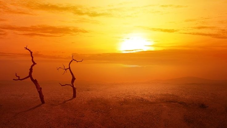 the sun is setting over an arid area with dead tree branches in the foreground