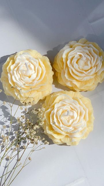 three yellow flowers sitting on top of a white table