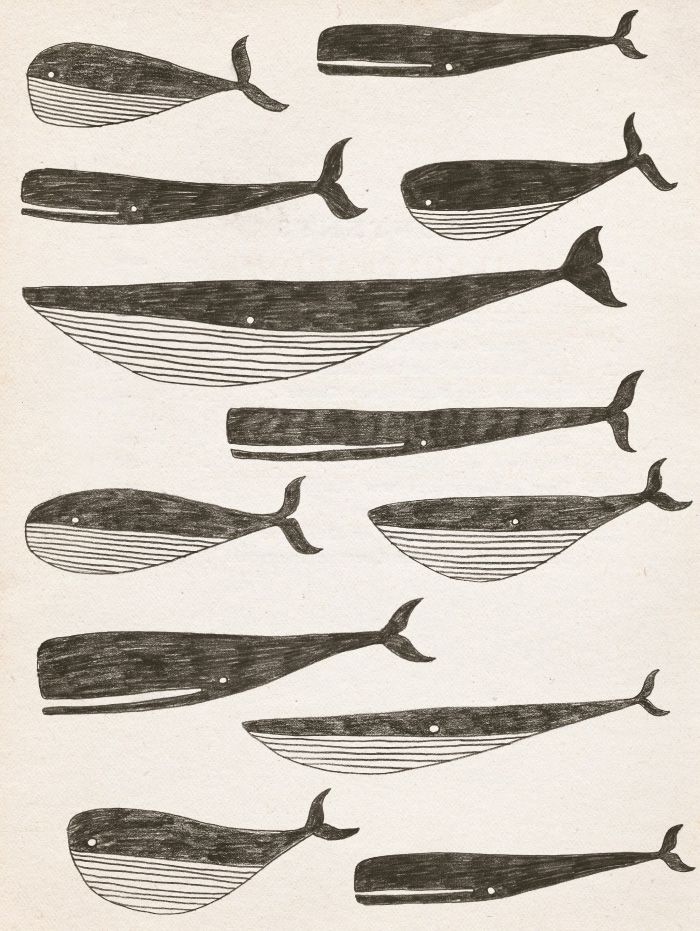 an old book with different types of whales