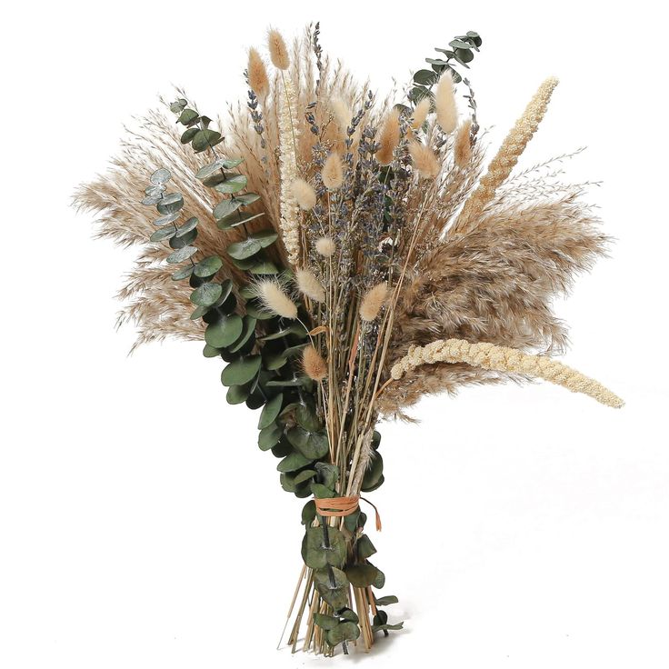 dried flowers and foliage in a vase on a white background