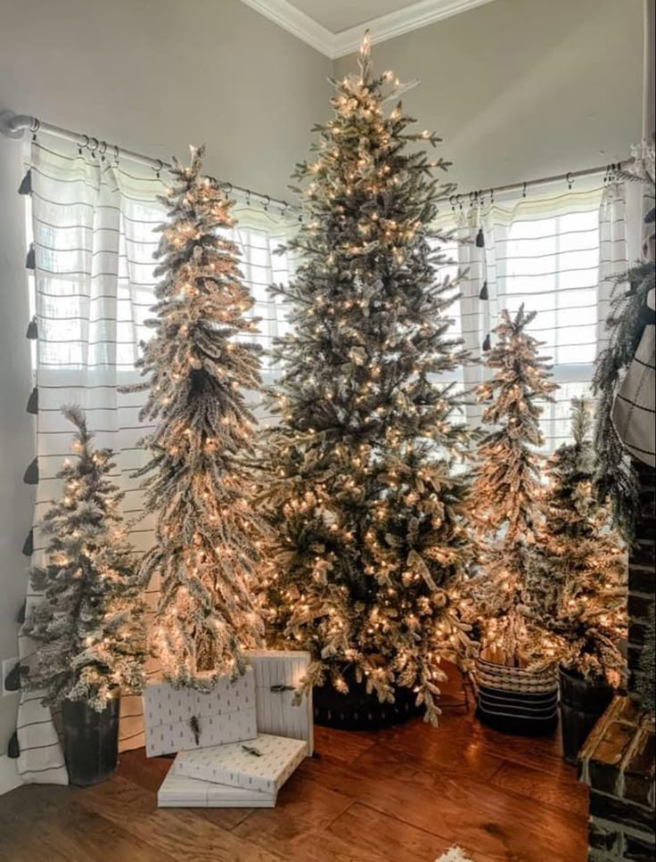 three christmas trees with white lights in a living room