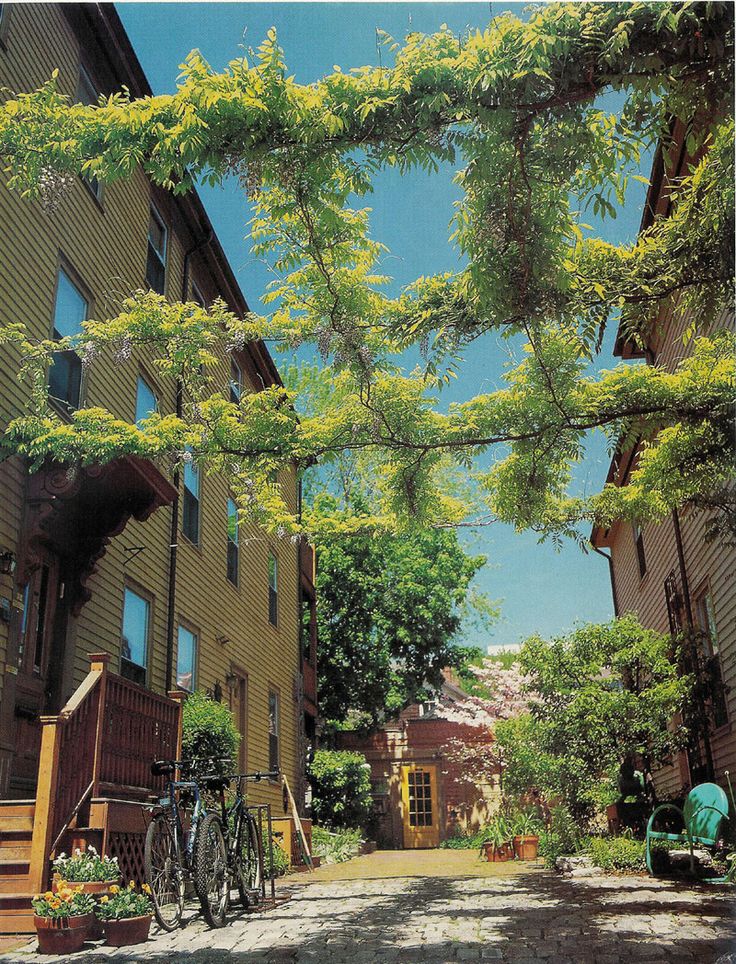 an image of a street scene with bikes parked on the sidewalk and trees in front