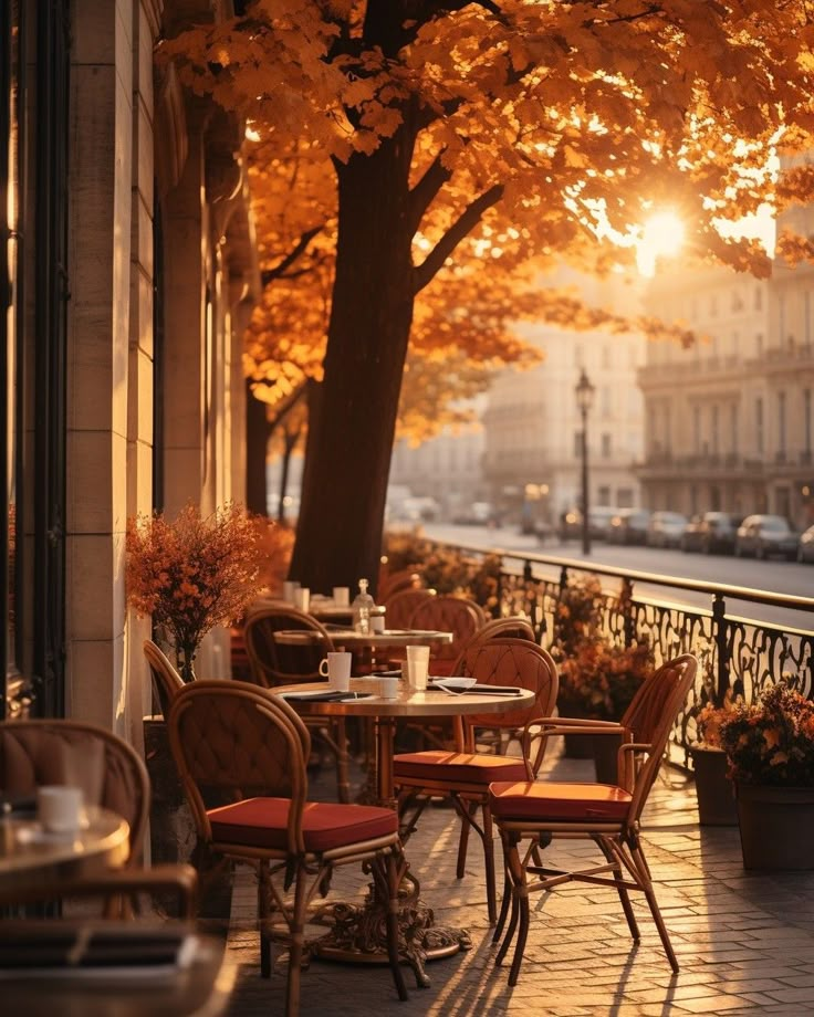 an outdoor cafe with autumn leaves on the trees