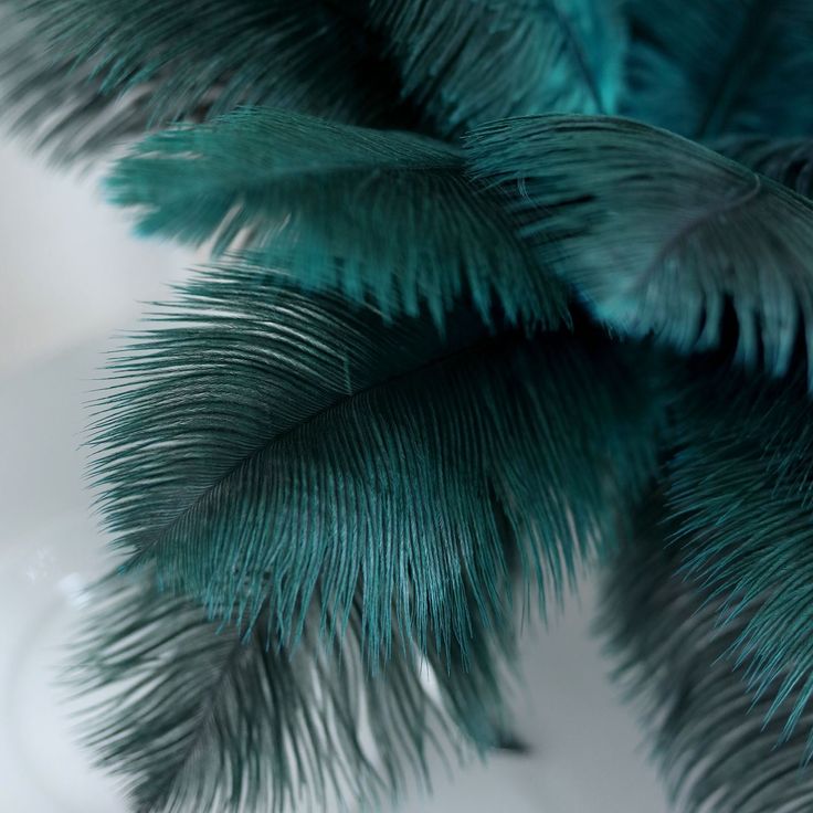 some green feathers are on a white table top and there is no image to describe