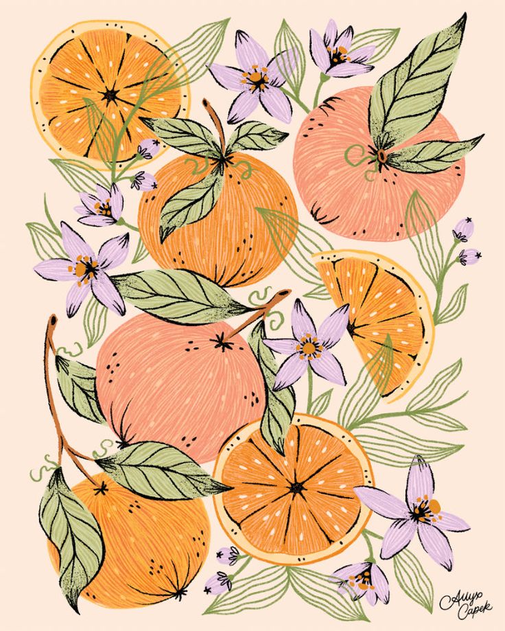 an illustration of oranges with leaves and flowers