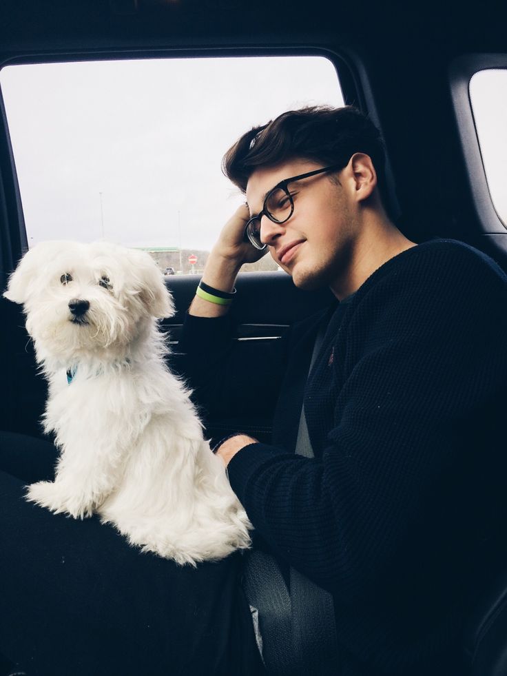 a man sitting in the back seat of a car next to a white dog