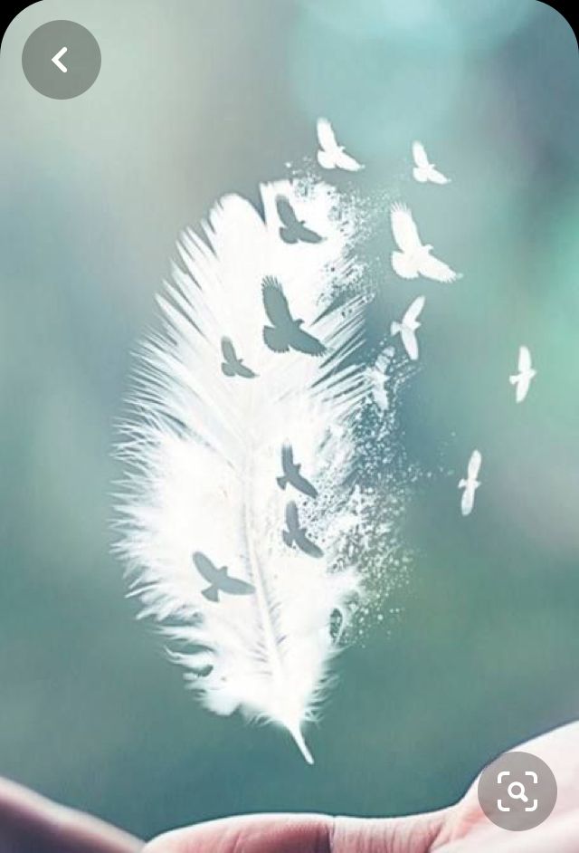 a white feather floating in the air with birds flying around it on a blurry background