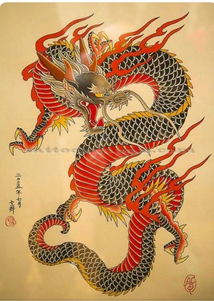 Japanese Dragon Tattoo, Japanese Dragon Tattoos, Dragon Tattoos, Japanese Dragon, Chinese Dragon, Night Routine, Dragon Art, Dragon Tattoo, Japanese Tattoo