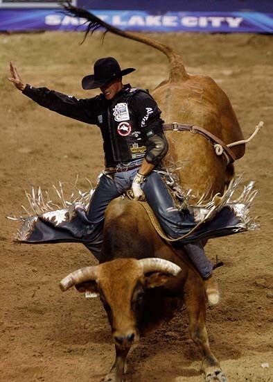 a man riding on the back of a bull