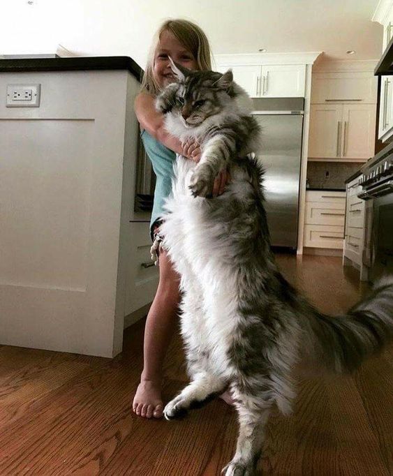 a woman holding a cat in her arms while standing next to a stove top oven