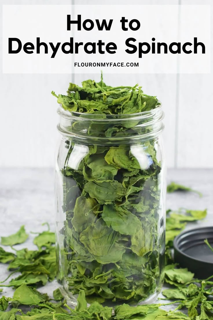 spinach leaves in a jar with text overlay how to dehydrate spinach